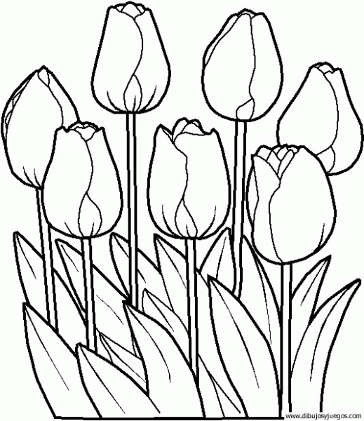 dibujo-flores-tulipanes-003 | Dibujos y juegos, para pintar y colorear