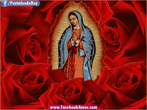 Virgen de Guadalupe de México Imagenes Bonitas para Facebook Amor ...