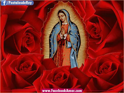 Virgen de Guadalupe de México Imagenes Bonitas para Facebook Amor ... Virgen de Guadalupe de México Imagenes Bonitas para Facebook Amor ...