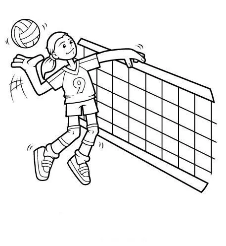 Imagenes de voleibol para dibujar - Imagui