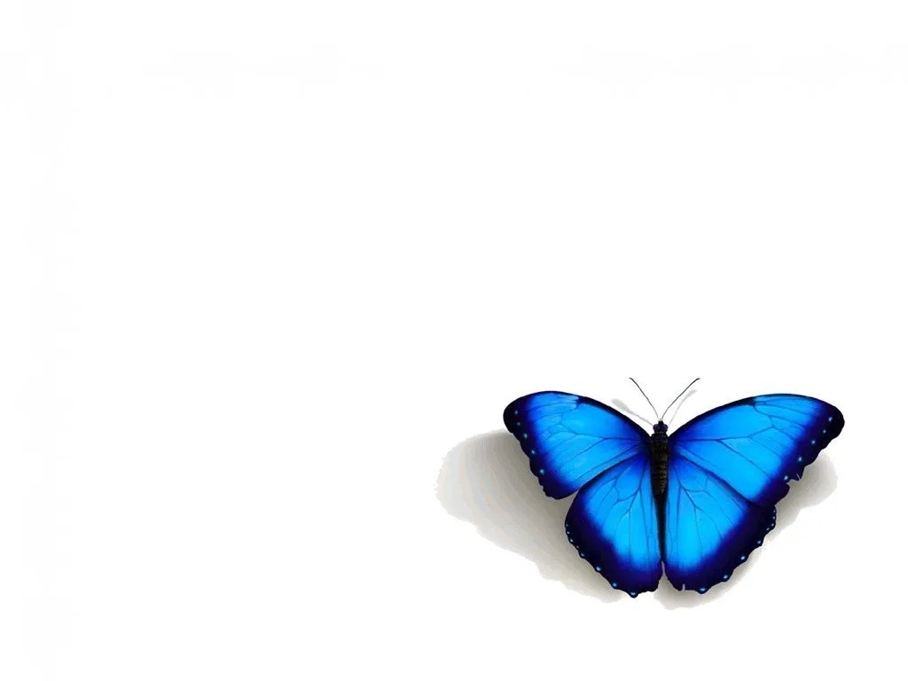 Images For > Mariposas Azules