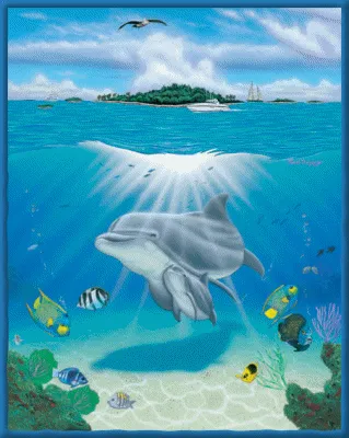 El mundo magico de los delfines