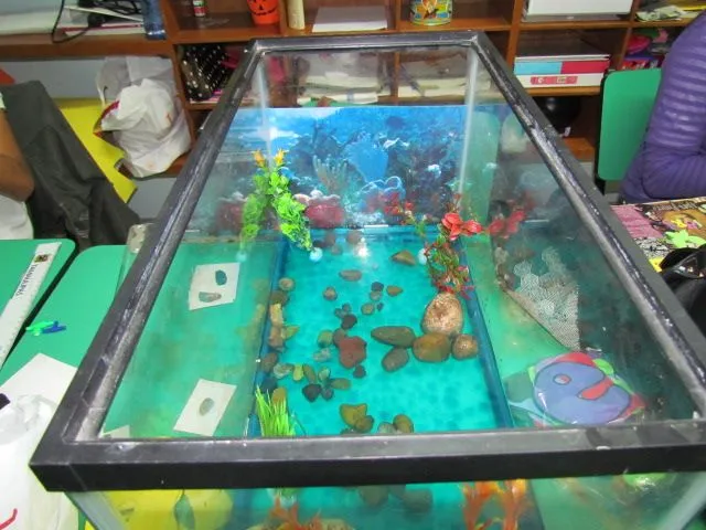 Maquetas del ecosistema acuatico - Imagui