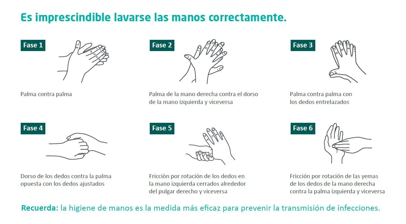 La importancia de la higiene de manos | Tu canal de salud