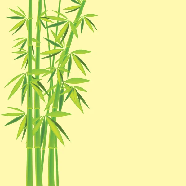 Impresión de dibujo chino de bambú — Foto stock © NikitinaOlga ...