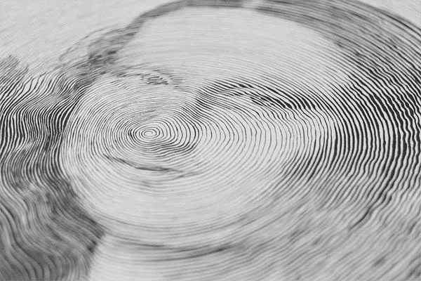 Impresionantes dibujos hecho con una sola línea en espiral, sin ... Impresionantes dibujos hecho con una sola línea en espiral, sin ...