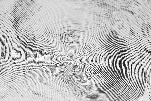 Impresionantes dibujos hecho con una sola línea en espiral, sin ... Impresionantes dibujos hecho con una sola línea en espiral, sin ...