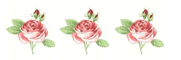 PARA IMPRIMIR: Bordes de rosas