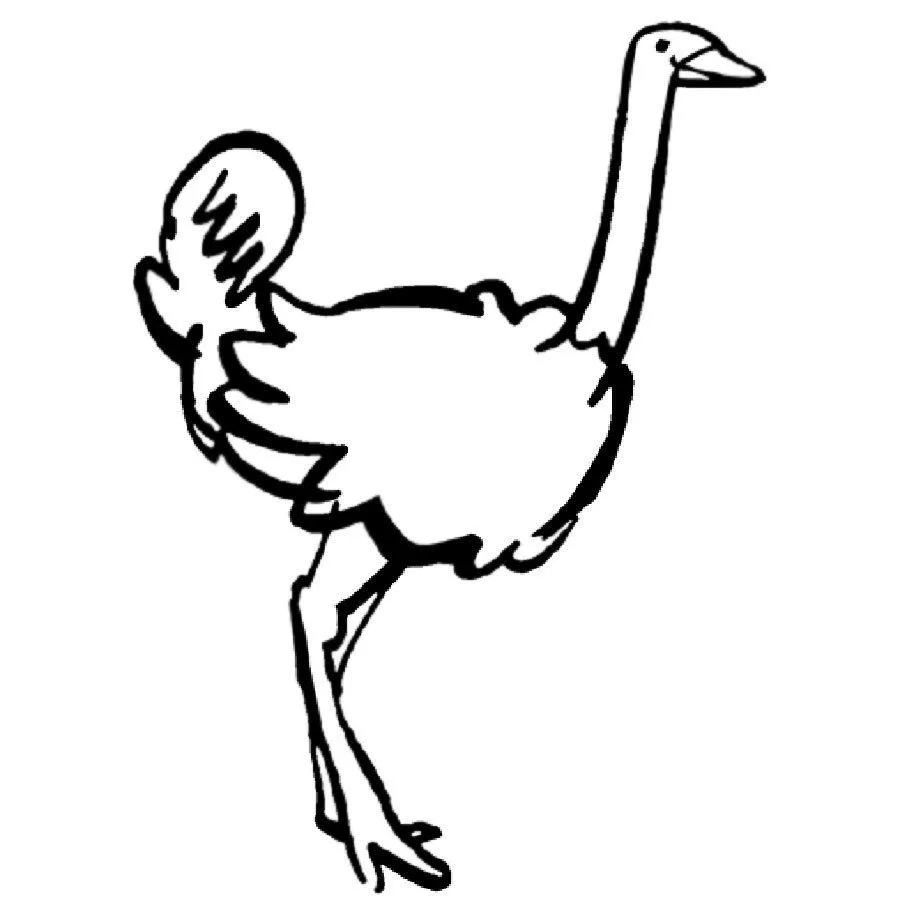Imprimir Dibujo de avestruz - Dibujos para colorear de animales de ...