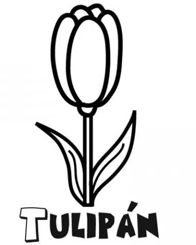 assets/images/dibujos/t/tulipan_3_g_thumb_480x480.gif assets/images/dibujos/t/tulipan_3_g_thumb_480x480.gif