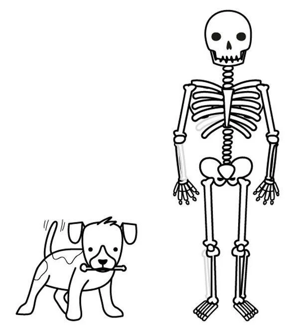 Imprimir: Esqueleto deshuesado.: dibujo para colorear e imprimir | Esqueleto  dibujo, Dibujos para colorear, Dibujos