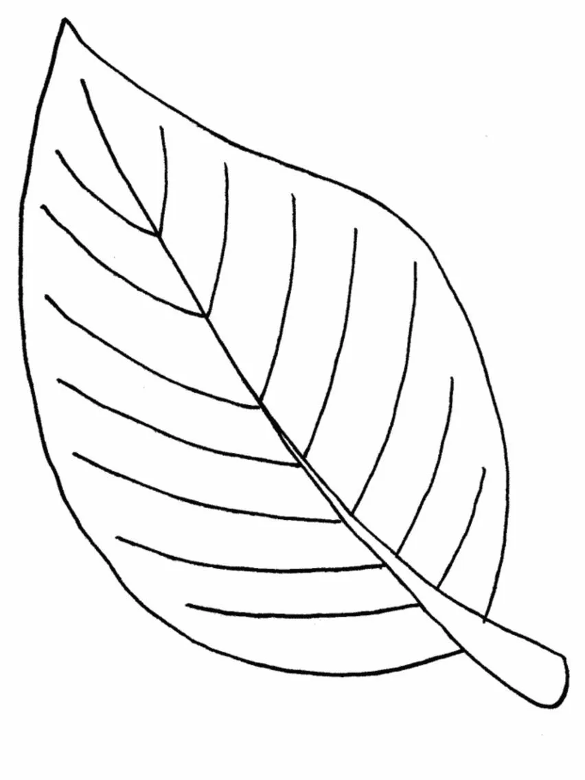 imprimir hojas de arboles - Buscar con Google | Leaf coloring page,  Printable leaves, Fall leaves coloring pages