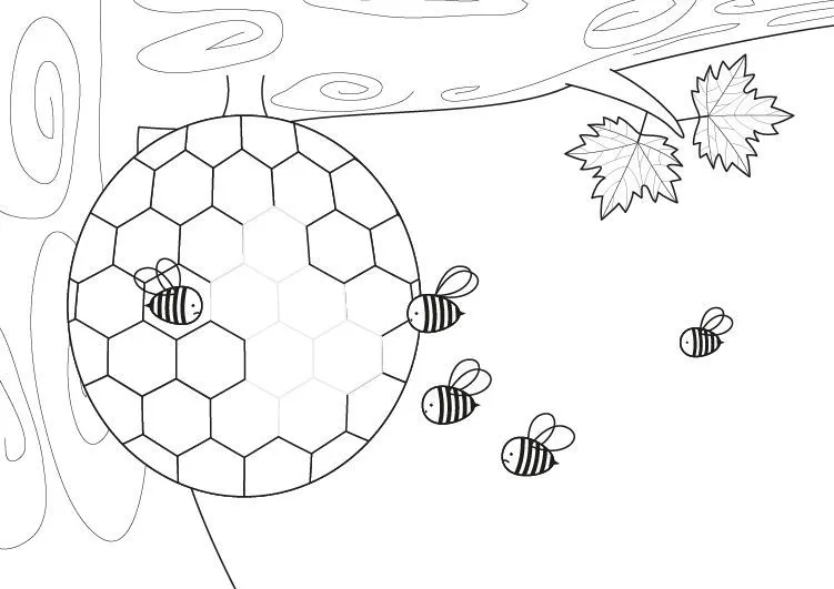 Panal de abejas: dibujo para colorear e imprimir
