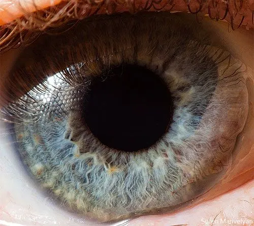 Increíbles fotos macro del ojo humano en Laifr.com