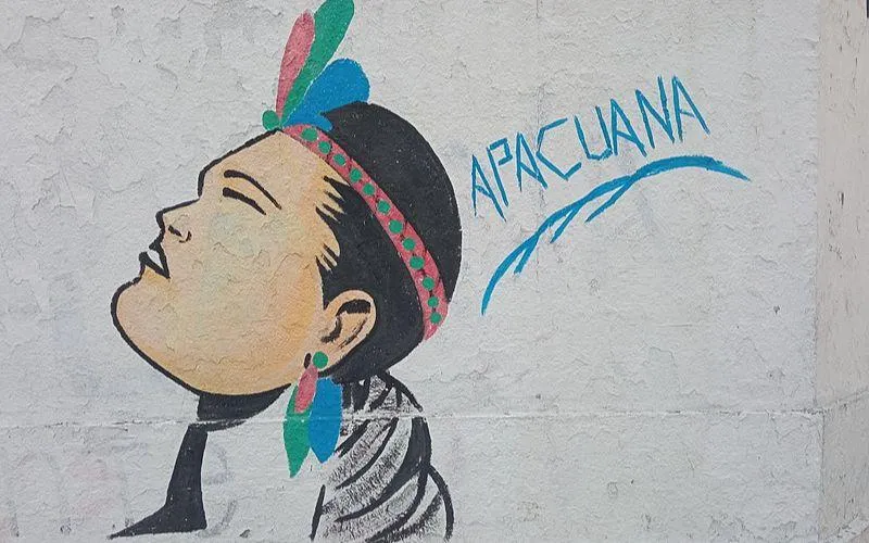 India Apacuana: quién fue, biografía