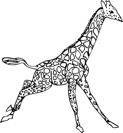 Índice de dibujos: jirafas