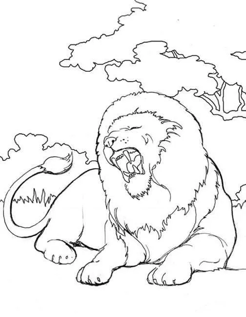 Índice de dibujos: leones