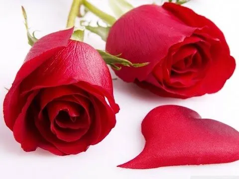 industria del amor con ♥poemas♥ rosas rojas - YouTube