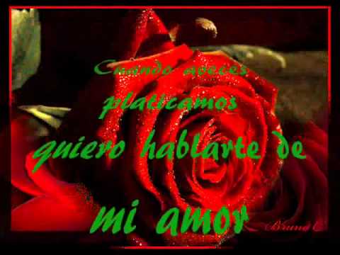 Industria Del Amor Rosas Rojas (Letra).wmv - YouTube