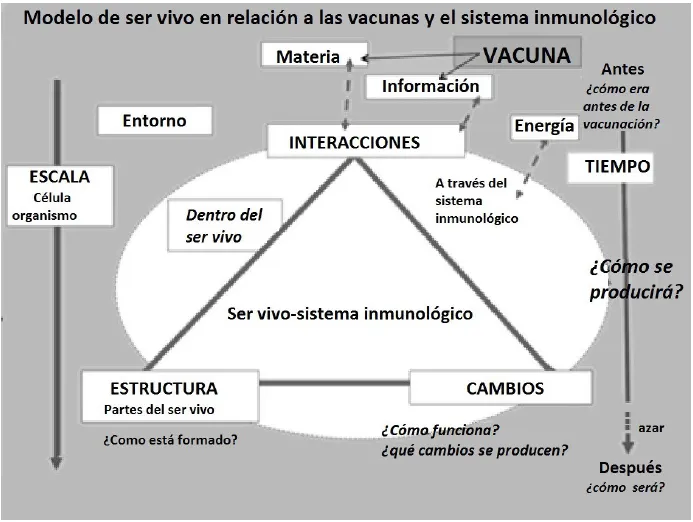 Influencia de la ayuda del profesorado en la construcción del modelo de sistema  inmunológico y su aplicación en las tomas de decisión