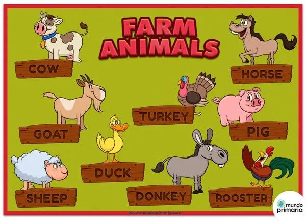 Infografía de los animales de granja en inglés