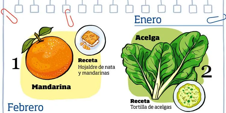 Infografía: Cómo aprovechar frutas y verduras maduras