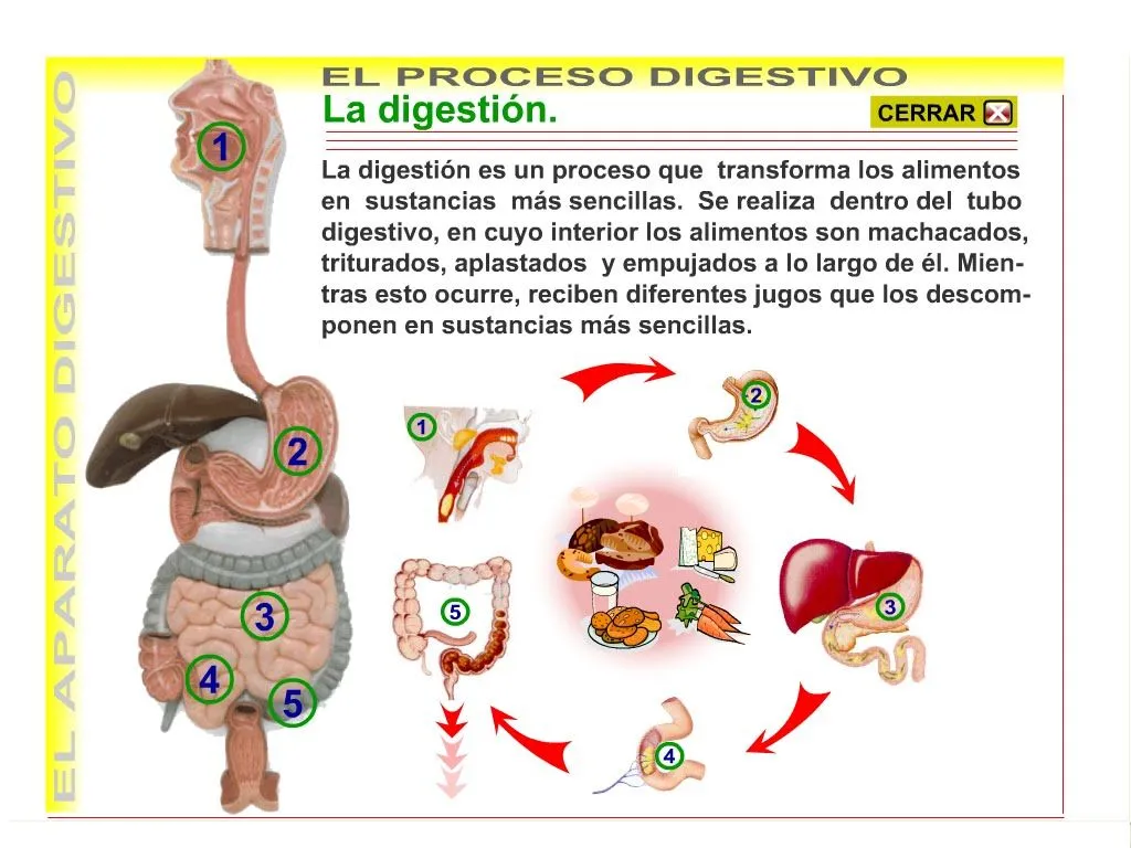 Información en la red: Recurso adecuado para mi unidad didáctica. Información en la red: Recurso adecuado para mi unidad didáctica.
