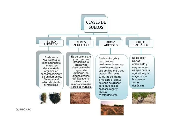 Información sobre tipos de suelo arenoso humifero arcilloso - Imagui