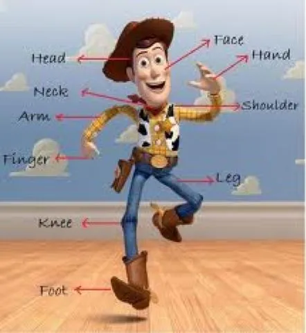INGLÉS EN EL AULA: Deja que Woody nos enseñe las partes del cuerpo ...