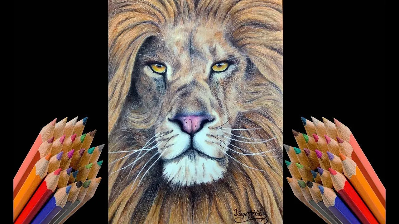Iniciando canal! - Dibujo de león realista con lápices de colores -  realistic lion drawing - YouTube