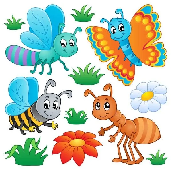 Divertidos vectores de insectos en dibujo animado