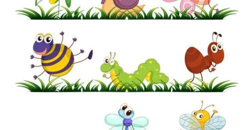 Insectos dibujos animados - Imagui