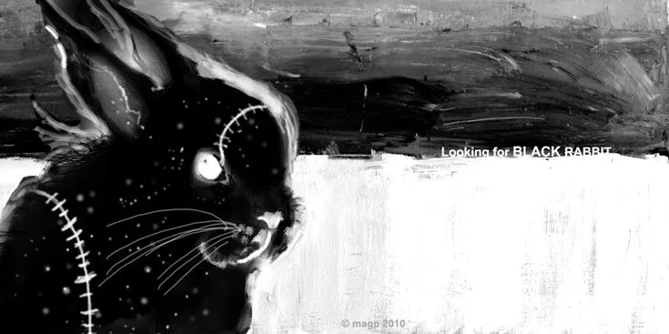 insidemagp: Seguir buscando conejos negros... insidemagp: Seguir buscando conejos negros...