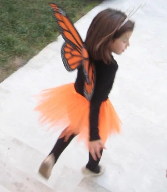 Instrucciones detalladas para hacer un disfraz de mariposa monarca ...
