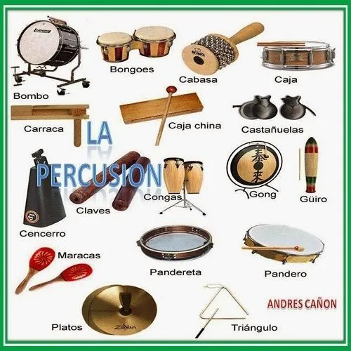 Imagenes de instrumentos de percusion y sus nombres - Imagui