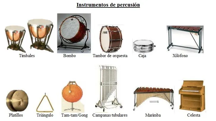 Instrumentos de percusion con nombres - Imagui