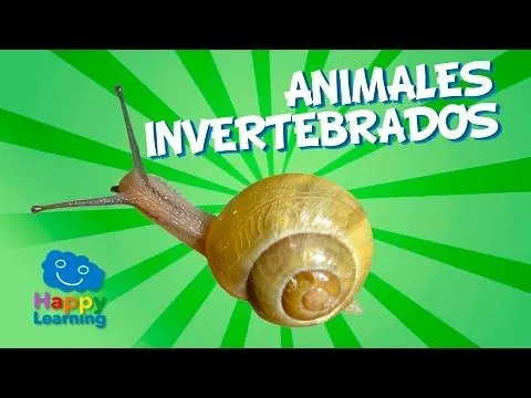 invertebrados | Triton TV