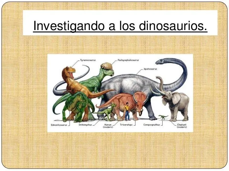 Investigando a los dinosaurios!