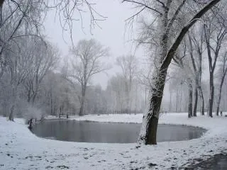 Invierno lago, la nieve | Descargar Fotos gratis