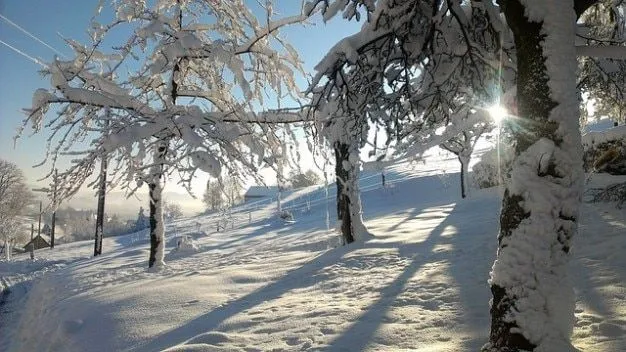 invierno nieve paisaje ráfaga | Descargar Fotos gratis