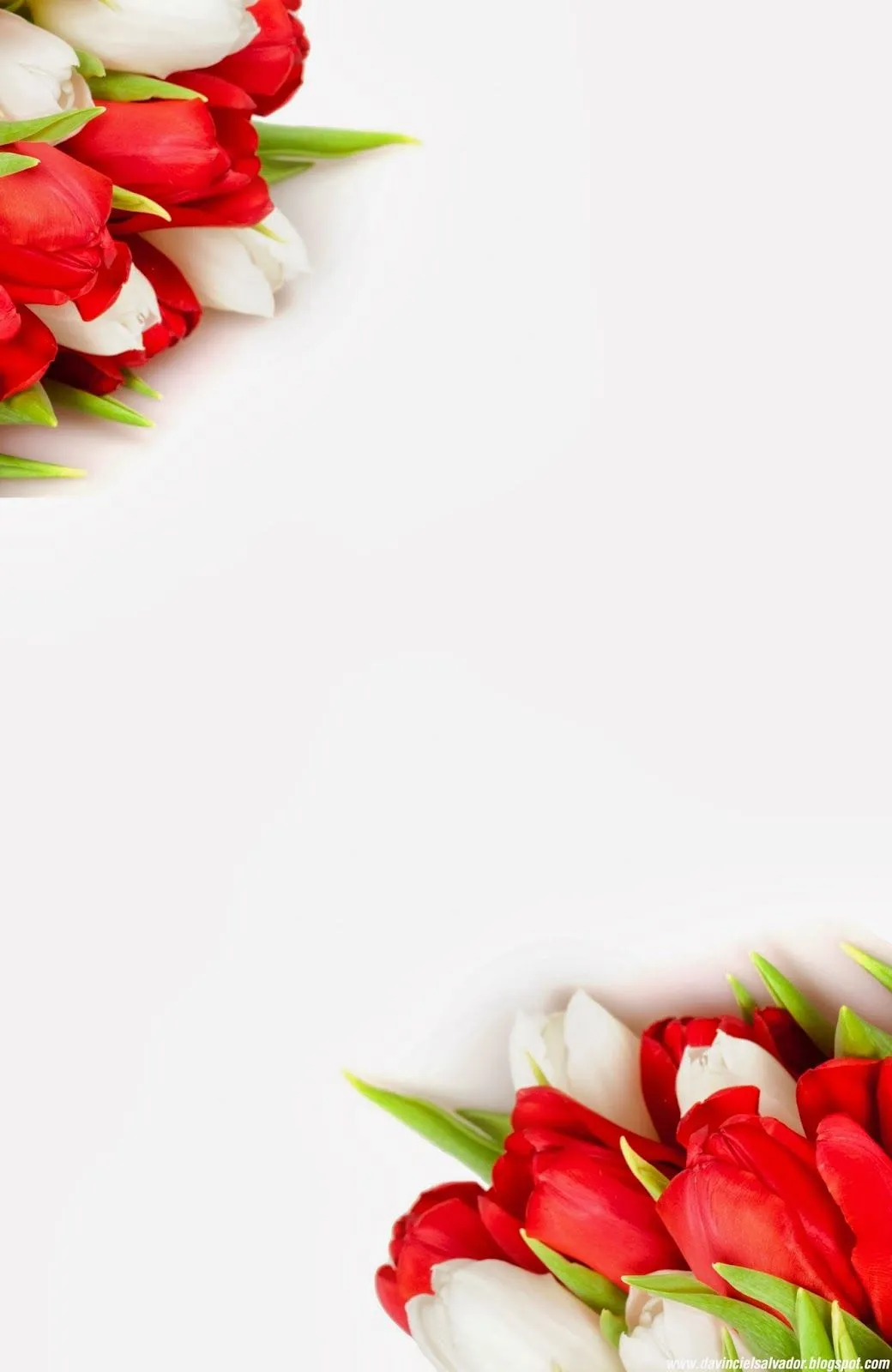 Invitación para Boda Gratis Tulipanes Rojos y Blancos ... Invitación para Boda Gratis Tulipanes Rojos y Blancos ...