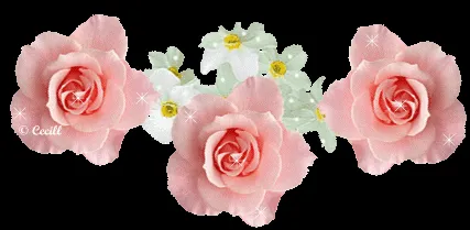 Ƹ̵̡Ӝ̵̨̄Ʒ♥ ღ Ƹɳ Մɳ Ɽïɳ¢óɳ Ðҽɭ Ѧɭᶆą ღ ♥Ƹ̵̡Ӝ̵̨̄Ʒ♥ | Un rincón ... Ƹ̵̡Ӝ̵̨̄Ʒ♥ ღ Ƹɳ Մɳ Ɽïɳ¢óɳ Ðҽɭ Ѧɭᶆą ღ ♥Ƹ̵̡Ӝ̵̨̄Ʒ♥ | Un rincón ...