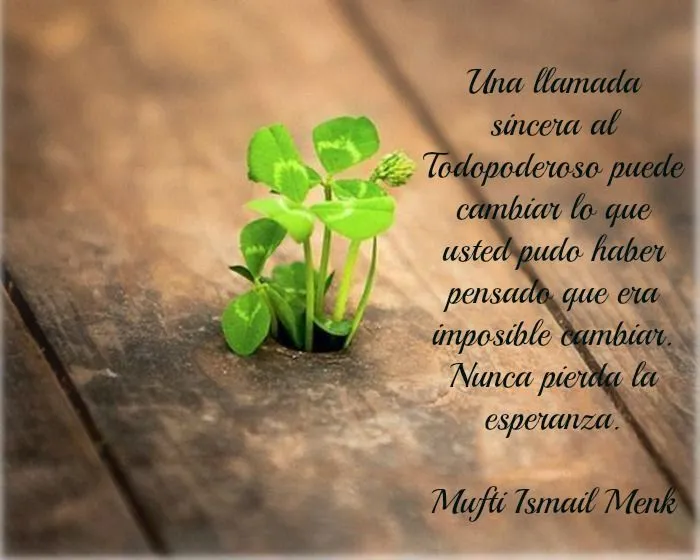 Islam; Allah; Esperanza; Citas; frases; Menk | Mufti Ismail Menk ...