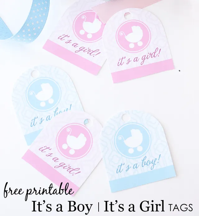It's a Boy/It's a Girl Free Printable Tags - Project Nursery