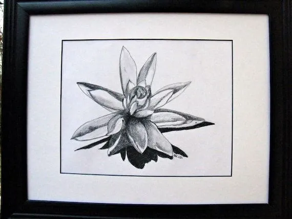 Items similar to Flor de loto lápiz dibujo Original Art - OOAK ...