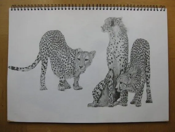 Items similar to Original lápiz de dibujo de guepardos. on Etsy