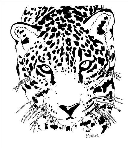 Jaguar 1 by Candace Stalder - Jaguar 1 Drawing - Jaguar 1 Fine Art ... Jaguar 1 by Candace Stalder - Jaguar 1 Drawing - Jaguar 1 Fine Art ...