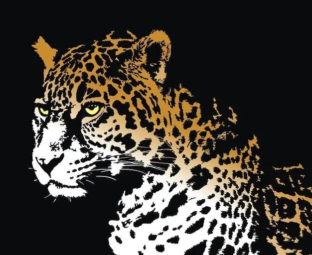 Jaguar | Fotos y Vectores gratis