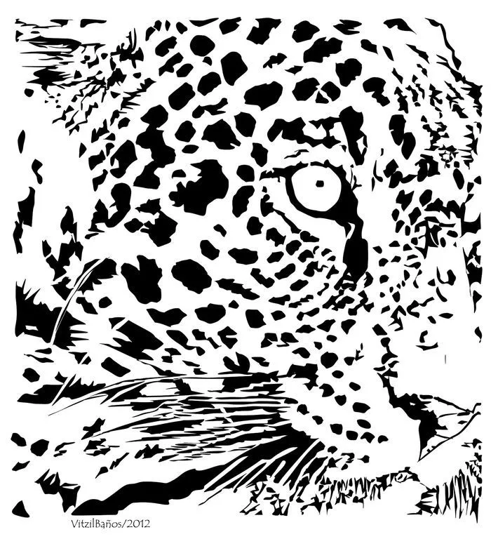 Como dibujar un jaguar - Imagui
