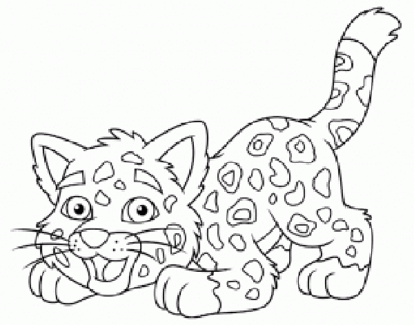 Bebé jaguar de go diego go para colorear - Imagui